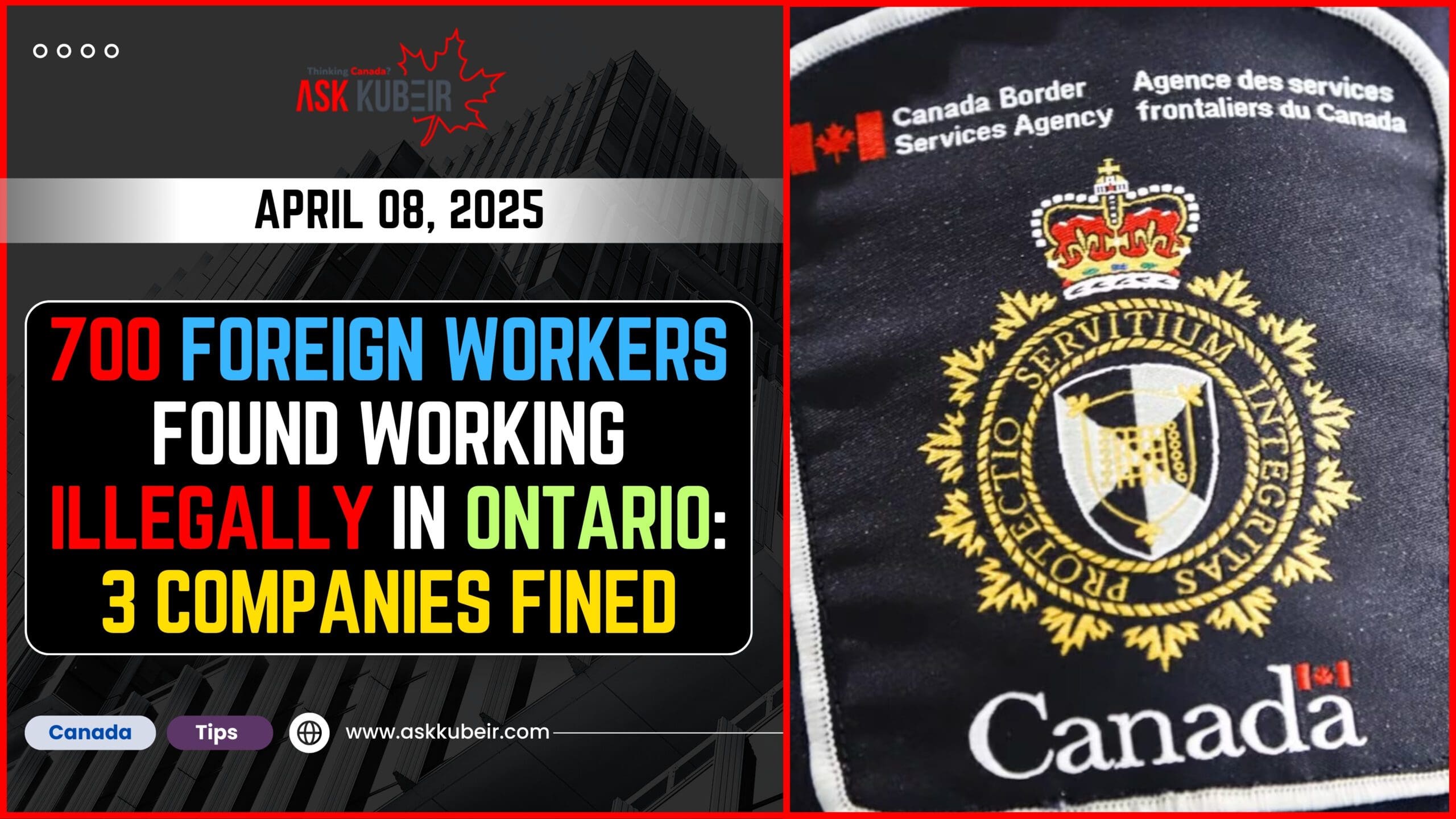 CBSA officer investigates companies employing illegal foreign workers in Ontario