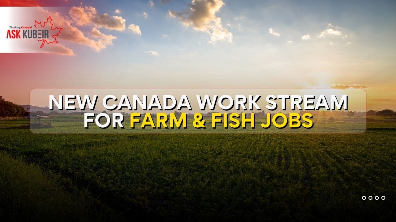 Canadian farm workers harvesting crops under the new foreign worker stream program